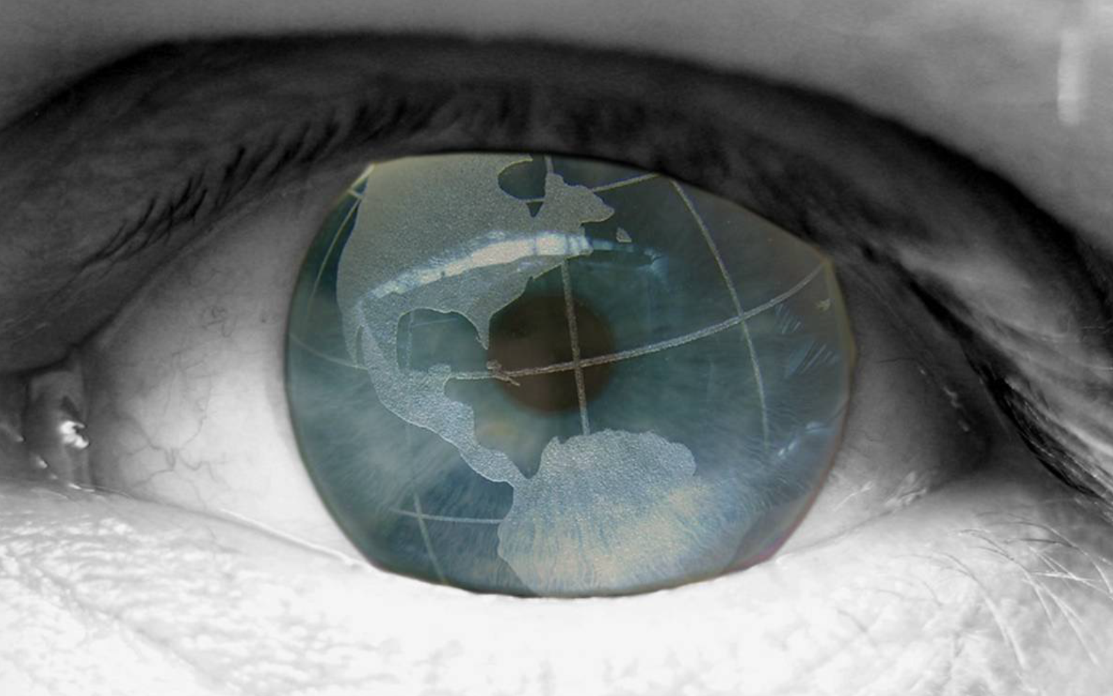 Establish Analytics & KPIs (BITS)